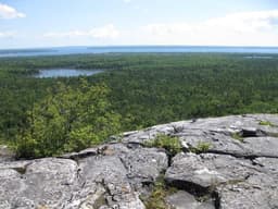 Preserving the Forests of the Great Lakes | Ontario, Canada