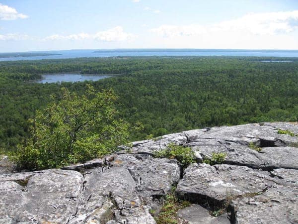 Preserving the Forests of the Great Lakes