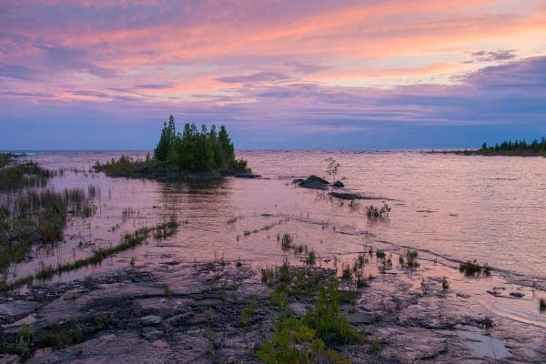 Preserving the Forests of the Great Lakes