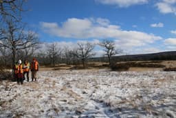 Preserving the Forests of the Great Lakes | Ontario, Canada