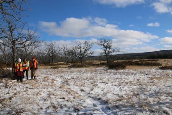 Preserving the Forests of the Great Lakes