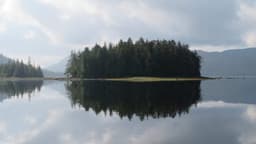 Klawock Heenya Forestry Project | Prince of Wales Island, Alaska