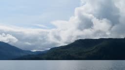 Klawock Heenya Forestry Project | Prince of Wales Island, Alaska