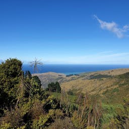 Banks Peninsula Forever Forest | Banks Peninsula, Canterbury