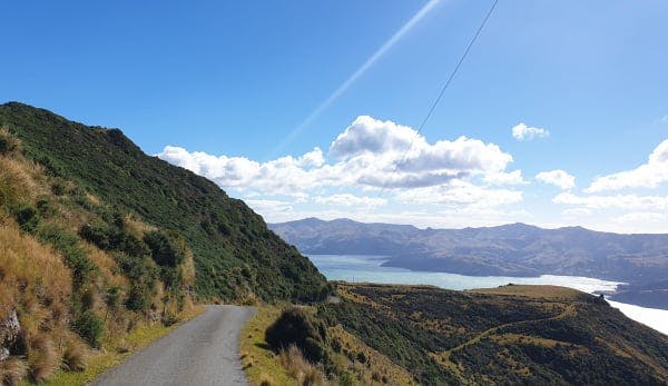 Banks Peninsula Forever Forest