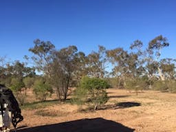 Lakemere Human-Induced-Regeneration | Bourke, New South Wales, Australia