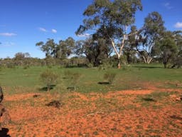 Lakemere Human-Induced-Regeneration | Bourke, New South Wales, Australia