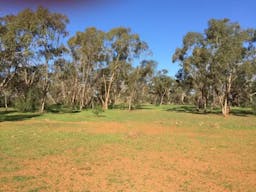 Lakemere Human-Induced-Regeneration | Bourke, New South Wales, Australia