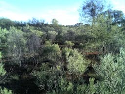 Lakemere Human-Induced-Regeneration | Bourke, New South Wales, Australia