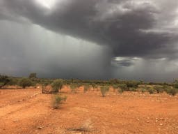 Darling River Conservation Initiative Site #8 | Cobar, New South Wales, Australia