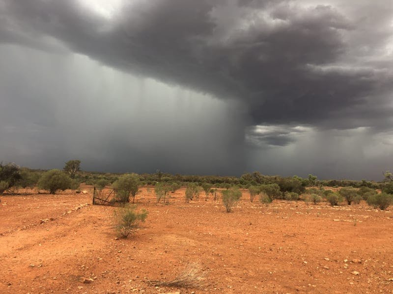 Darling River Conservation Initiative Site #8