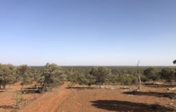 Darling River Conservation Initiative Site #8 | Cobar, New South Wales, Australia