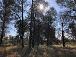 Darling River Conservation Initiative Site #8 | Cobar, New South Wales, Australia