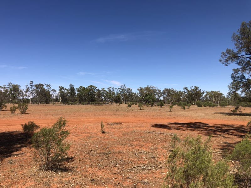 Darling River Conservation Initiative Site #8