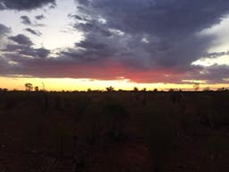 Darling River Conservation Initiative Site #8 | Cobar, New South Wales, Australia