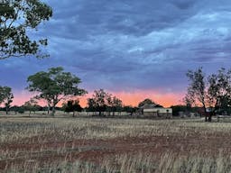 Darling River Conservation Initiative Site #8 | Cobar, New South Wales, Australia