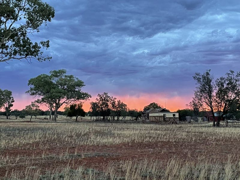 Darling River Conservation Initiative Site #8