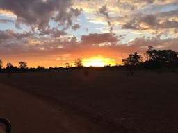 Darling River Conservation Initiative Site #8 | Cobar, New South Wales, Australia