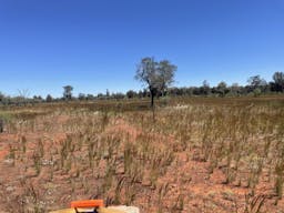 Darling River Conservation Initiative Site #8 | Cobar, New South Wales, Australia