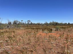 Darling River Conservation Initiative Site #8 | Cobar, New South Wales, Australia