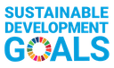 SDG logo