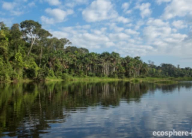 Tambopata-Bahuaja Biodiversity Reserve (REDD+)